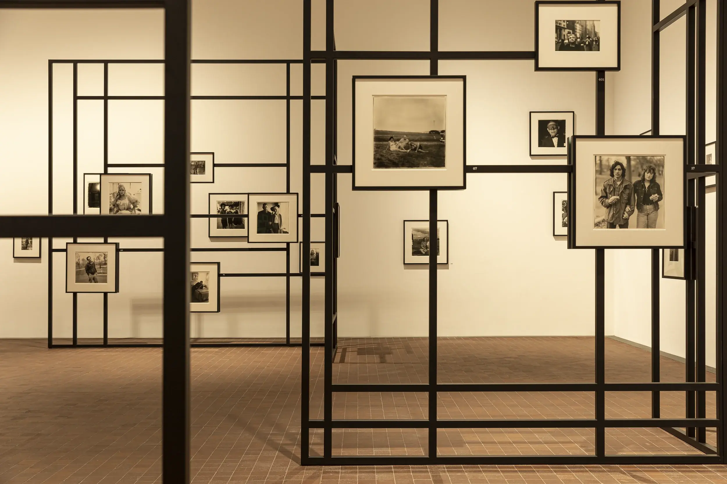 アート・デザイン・音楽 Diana Arbus: Family Album Diane Arbus